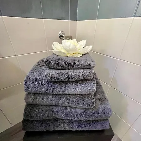 La Chiave Di Violino Appartamentino Musicale *